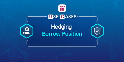 Use Case - Hedging Borrowing Position